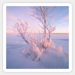 Winter spirit trees Sticker